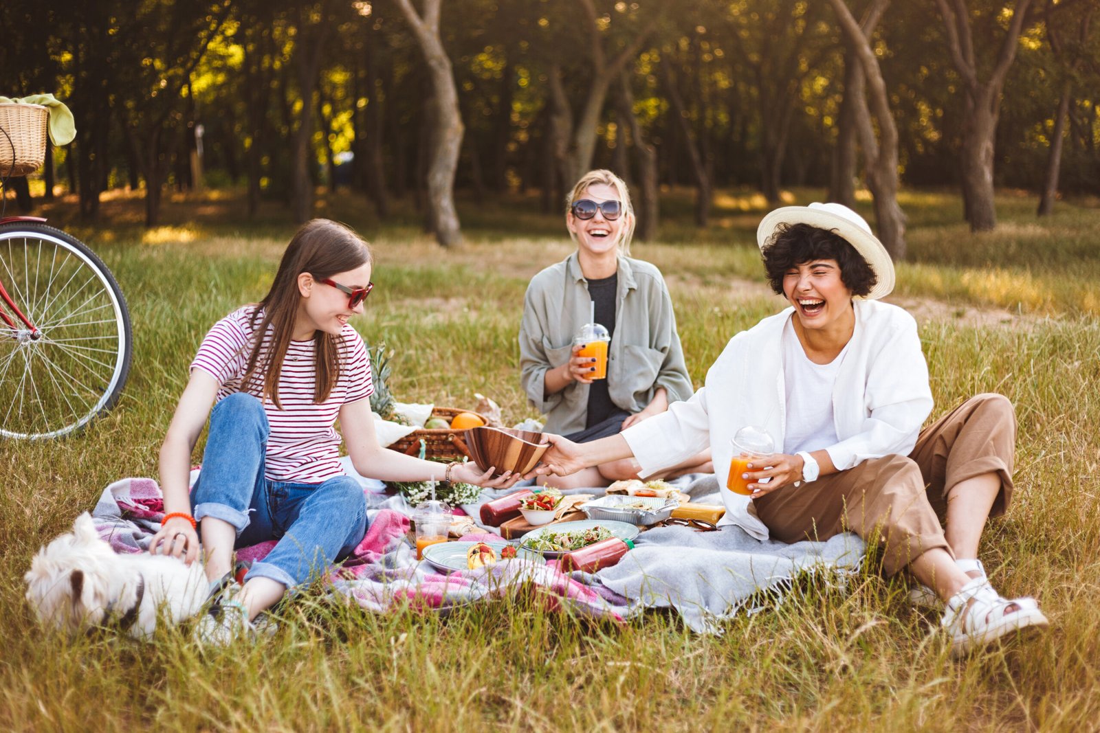 hiking picnics