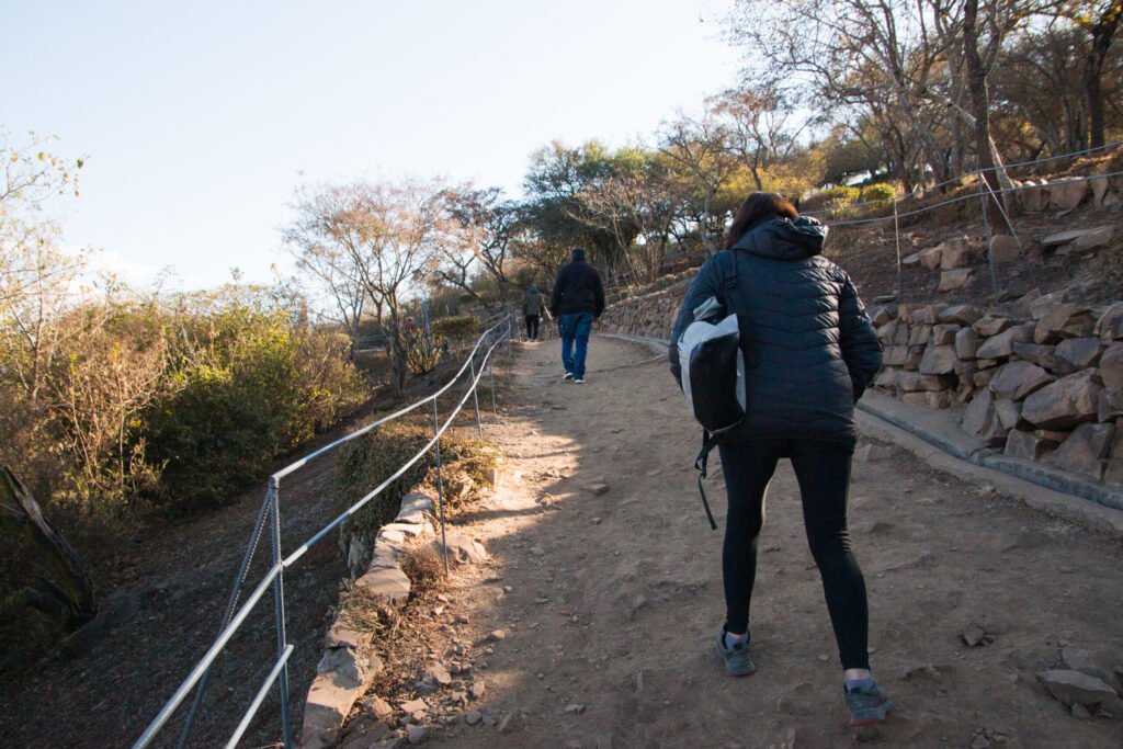 hiking vs running for weight loss