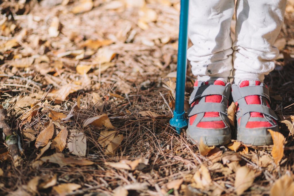 Wheelchair Accessible Trails