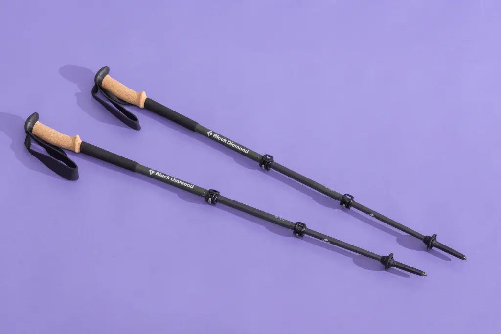 Black Diamond Alpine Carbon Cork Trekking Poles